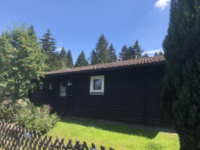 Wooden bungalow with oven, in Oberharz near a lake